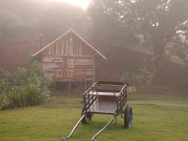 Deluxe Queen Room,818403668:JPEG